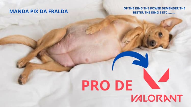 cavalocegotv 25-04-2025 Loco Live Stream